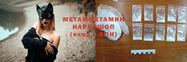 ПСИЛОЦИБИНОВЫЕ ГРИБЫ Вяземский