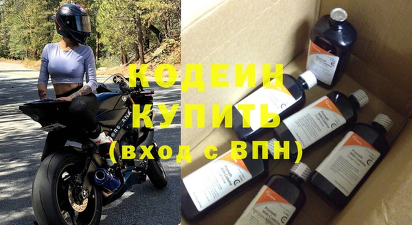 ПСИЛОЦИБИНОВЫЕ ГРИБЫ Вяземский
