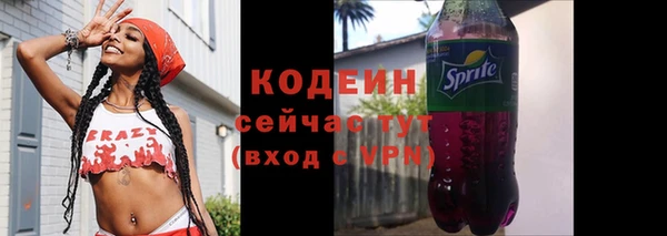 2c-b Горно-Алтайск