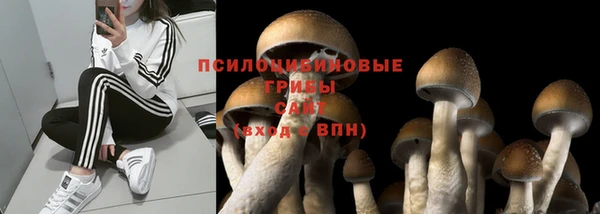 соль ск Вязьма