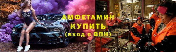 ПСИЛОЦИБИНОВЫЕ ГРИБЫ Вяземский