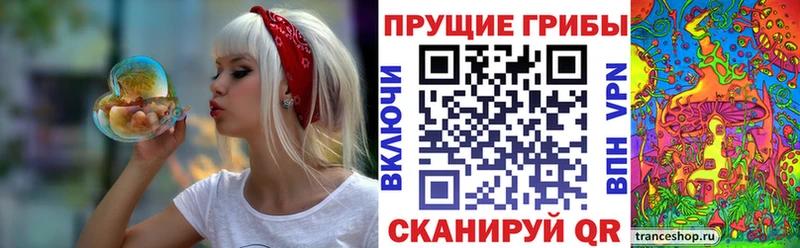 маркетплейс Telegram  Северская  Псилоцибиновые грибы ЛСД 